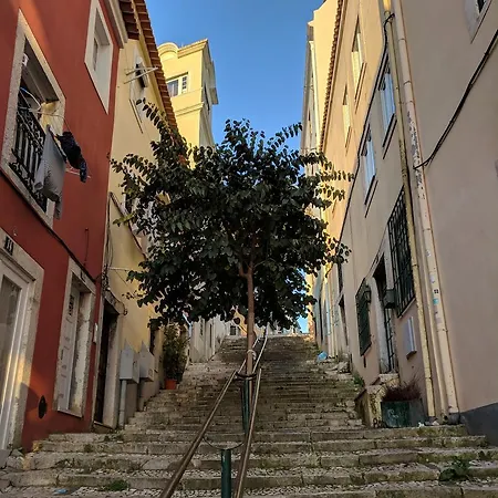 Central Santa Catarina Ii *